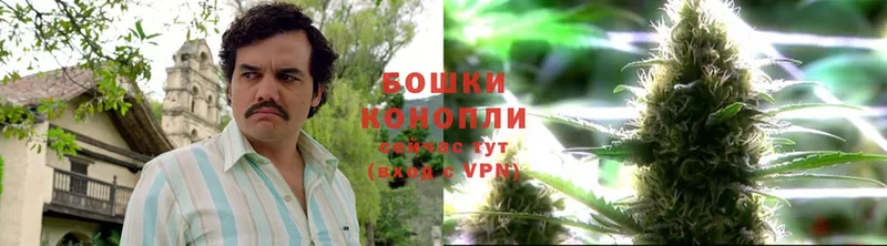 Каннабис SATIVA & INDICA  Подольск 